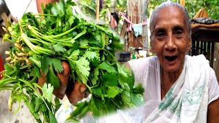 শতর সনধযয মচমচ ধন পতর বড ভজ রসপ রসপ টপস সহ Dhone Patar Bora Bengali Recipe