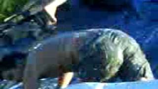 Afogando O Ganso Parte 1