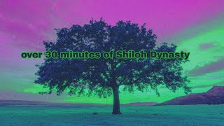 Download lagu Around 30 minutes of Shiloh Dynasty