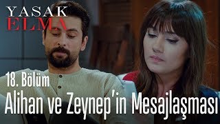 Zeynep ve Alihan'ın mesajlaşması - Yasak Elma 18. Bölüm