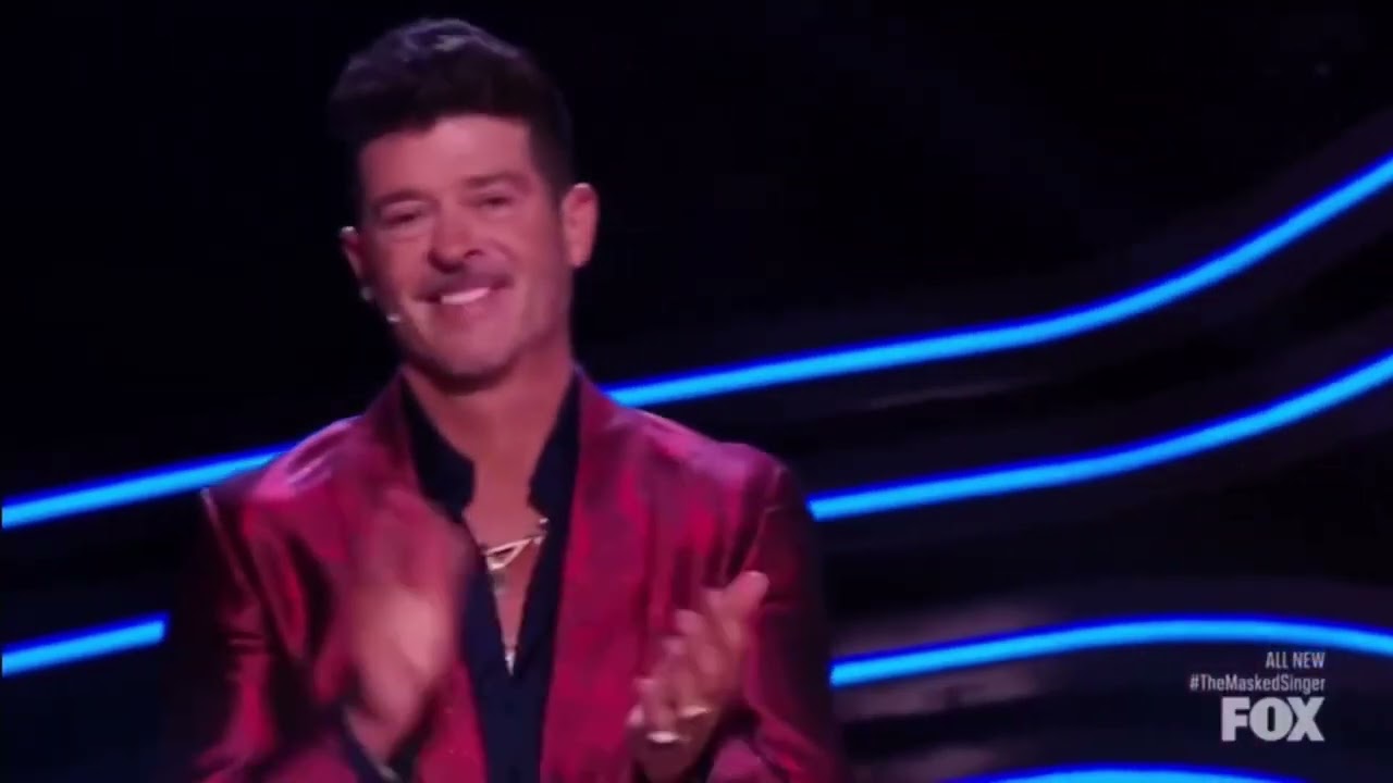 MSD3:BUFFALOES VS GUMBALL VS DOUGHNUT