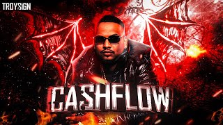 Cashflow - Sambata Motion Graphics Edit Troysign