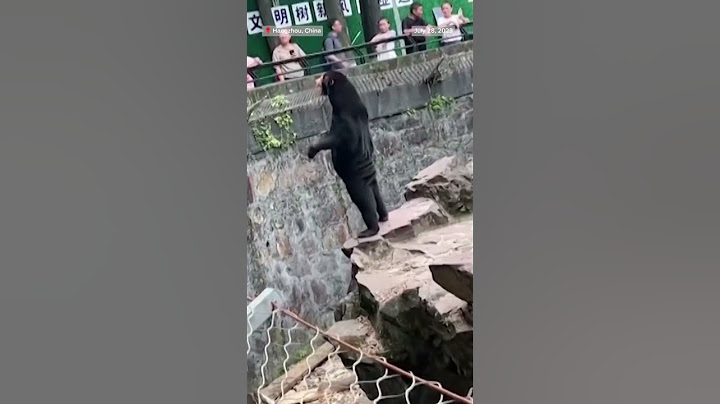 A zoo in China is denying that its bears are people dressed in costumes.