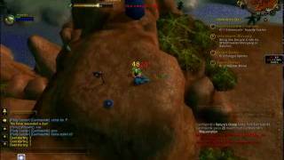 Duel bug wow