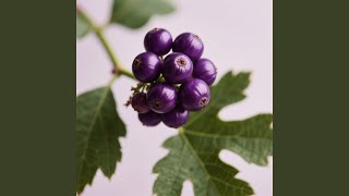 Practiced From Within