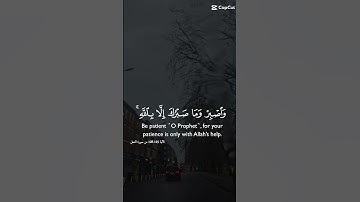تلاوة عطرة مباركة جميلة للشيخ خالد الجليل ماتيسر من سورة النحل