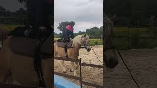 #voltige #passion #horse #cheval #equestre bombe et chaussettes de @decathlonfrance