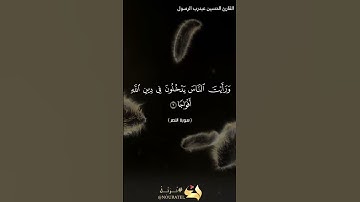 سورة النصر بصوت القارئ الحسين عبدرب الرسول #القرآن_الكريم #اكسبلور #المصحف#القرآن_نور_القلوب