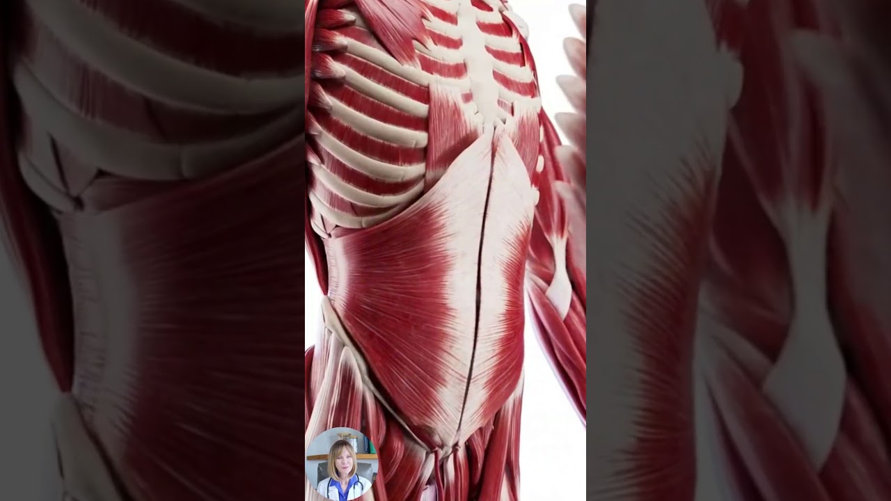 BPC-157 for Longevity: How This Peptide Supports Healing & Aging