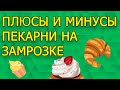 Как открыть пекарню. Плюсы и минусы пекарни на заморозке.