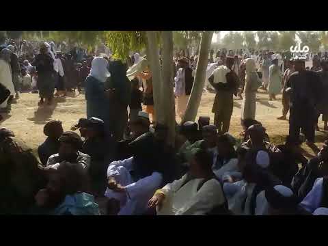 دکندهار په مرکزي عیدګاه کښي دلوی اختر لمونځ د عالیقدر امیر المؤمنین حفظه الله په امامت سره ترسره سو