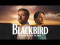 Peter Hollens Ft Tim Foust Blackbird Lyric Video mp3