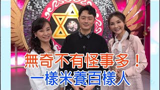 命運好好玩 5年男友愛上哥哥 論及婚嫁下場驚呆全場 先有後婚被虐爆 親兄妹亂倫拋下結髮癌妻 阿姨我不想努力了 最強小三超嗆逆襲 無奇不有怪事多 2021 02 09 許聖梅 鄭瑞迪