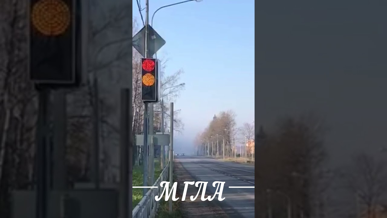 Hollywood в жизни. Стивен Кинг. Мгла. - YouTube