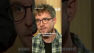 « La qualité de l’air retourne à des niveaux néfastes à cause des mégafeux » #shorts #mediapart