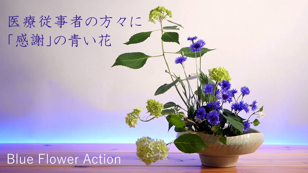 生け花 医療従事者の皆様に感謝の青い花 Ikebana 紫陽花 矢車菊 ドクダミ 十薬 Blue Flower Action Blue Flower 藍色的花 Sinij Cvetok Azul 꽃 Youtube