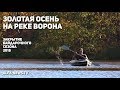 Золотая осень на реке Ворона: Закрытие байдарочного сезона 2018