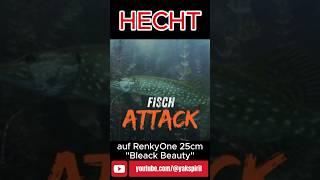 Yak Spirit Fisch Attack | Hecht Attacke beim Schleppangeln. Live-Bisse  🎣🎥#shorts