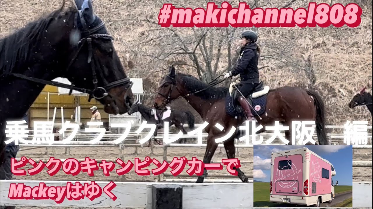 乗馬】#乗馬#乗馬クラブクレイン北大阪行ってきたよ