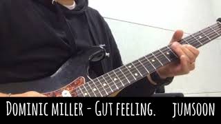 Dominic Miller - Gut Feeling cover