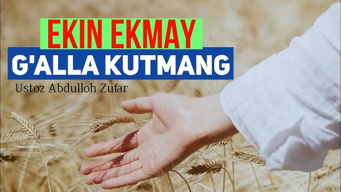 Yaponcha porno video kelinining sikilishi