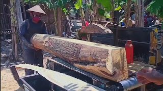 Astagfirullah.!! Hard dry acacia wood - assembled serkel chainsaw
