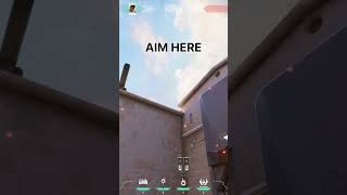 Best Phoenix Molly On Ascent