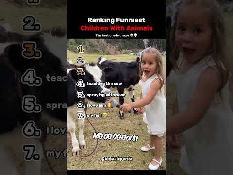 Ranking The Top