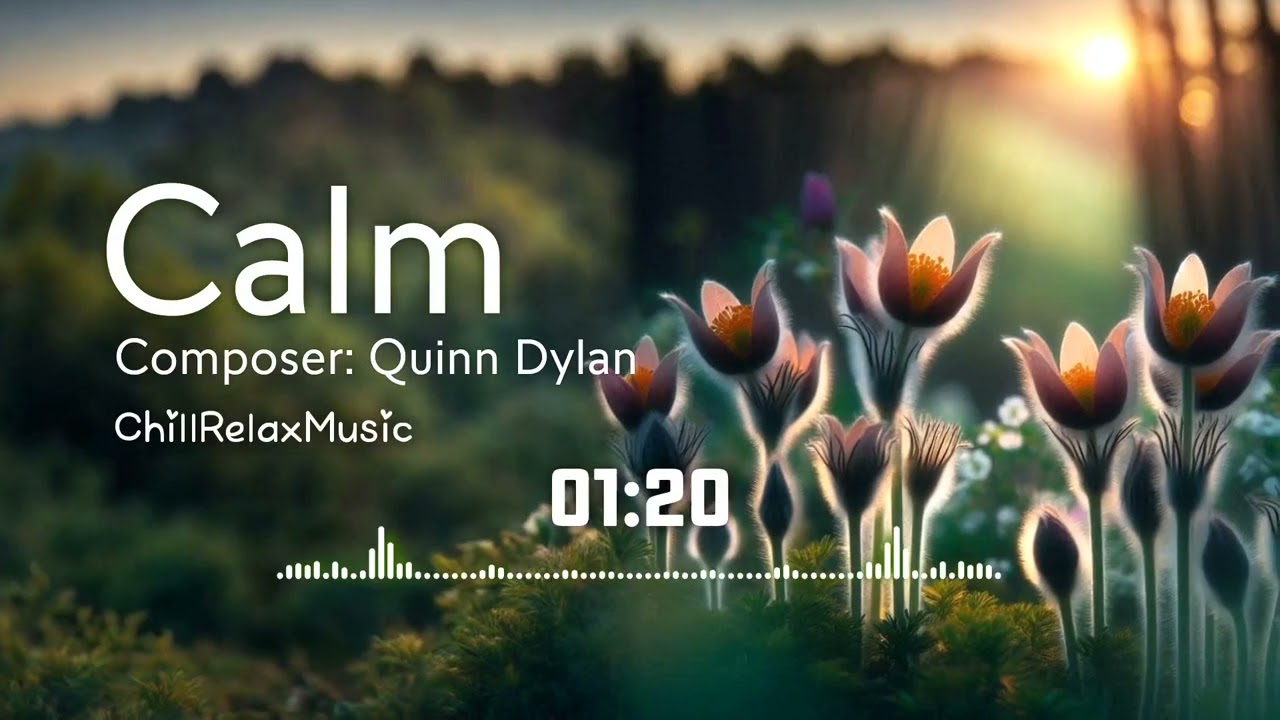 Chill Relax Music | Calm • Quinn Dylan