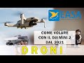 Droni: come volare con il DJI Mini 2 dal 2021