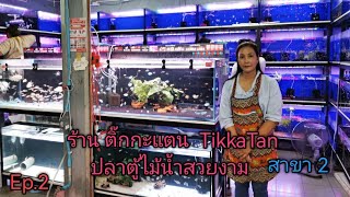 ร้าน Tikkatan​ สาขา 2 ปลาตู้ไม้น้ำสวยงาม​🐟Ep.2