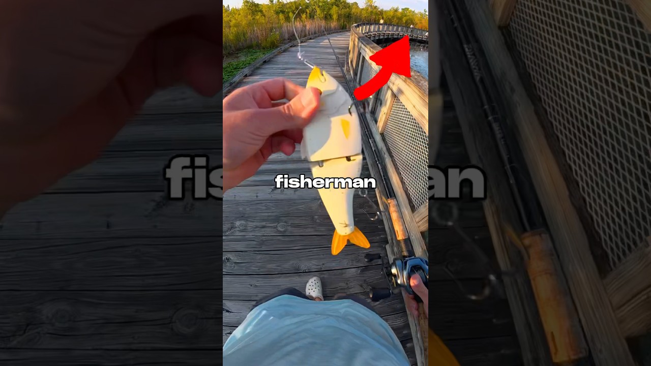 I Fished a HONEY HOLE 🐟🎣