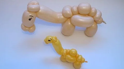 Camel Balloon Tutorial - Video 31- BalloonTube with Graham Lee
