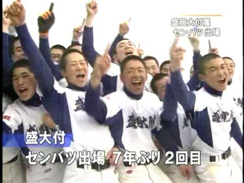 盛岡大附属高、第82回選抜高校野球大会に出場決定　（2010.01.29）