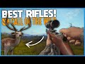 Best Rifles For Hunting Axis Deer! | theHunter: Call Of The Wild