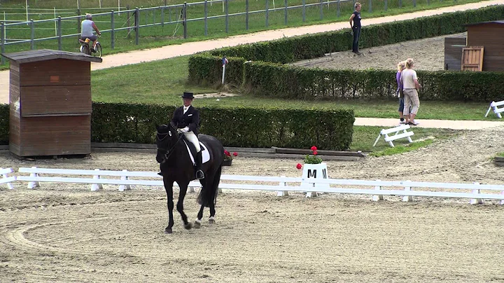 REITEN und ZUCHT-Video: Alexandra Haupt auf Rio Ne...