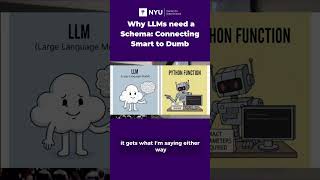 Why LLMs need a Schema: Connecting Smart to Dumb