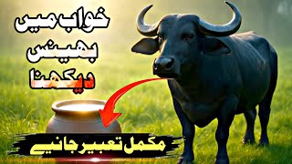 Khwab mein bhains dekhna | Khwab mein kaali bhains dekhna | buffalo dream | خواب میں بھینس دیکھنا