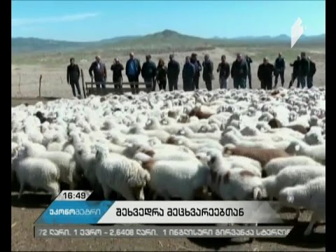 დედოფლისწყაროში, მეცხვარეობის დარგში არსებულ ვითარებას გაეცნო სოფლის მეურნეობის მინისტრი