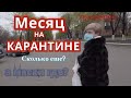 Закупаем продукты  в АТБ,Ермолино,Петриківка. Новогродовка. 31 день дома с Мишкой Журавлевым