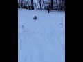 Erica 2-3-21