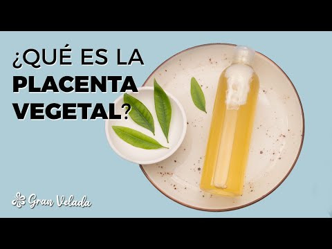 Botanical placenta