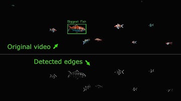 Convolution in Real Time by camera
