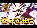 【ドッカンバトル】これぞ身勝手の極意！LR身勝手を使ってみた！6周年【Dragon Ball Z Dokkan Battle】