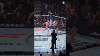 Jiri Prochazka Vs Aleksandar Rakic Ufc 300