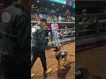 doing flips at MILB championship game.. #dogs #dog #baseball #dogtraining