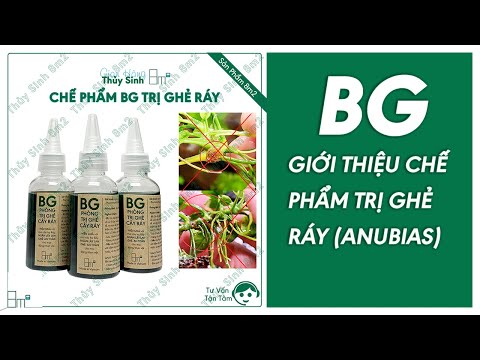 Video Giới Thiệu BG 8m2 - Chế Phẩm (Thuốc) Trị Ghẻ Ráy Thủy... - youtube