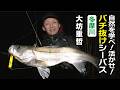 自然を学べ！活かせ！バチ抜けシーバス・多摩川