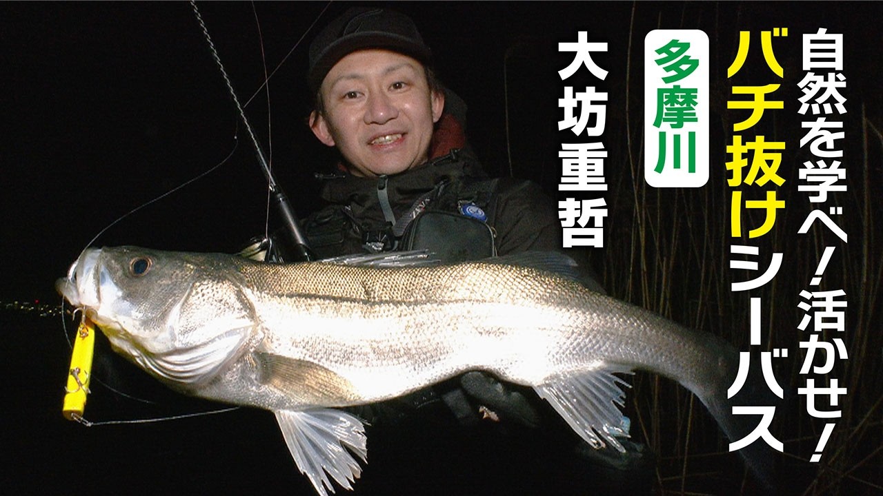 自然を学べ！活かせ！バチ抜けシーバス・多摩川