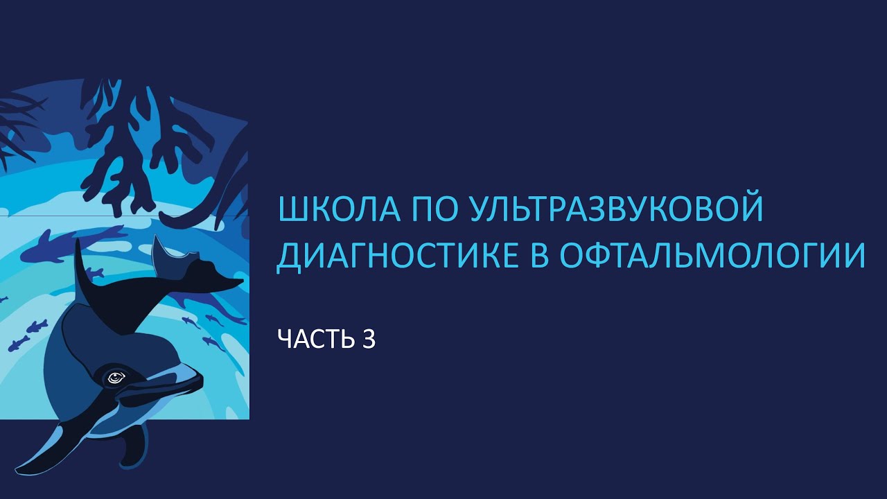 ШКОЛА ПО УЛЬТРАЗВУКОВОЙ ДИАГНОСТИКЕ В ОФТАЛЬМОЛОГИИ, ЧАСТЬ 3